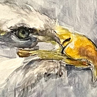 eagle painting
